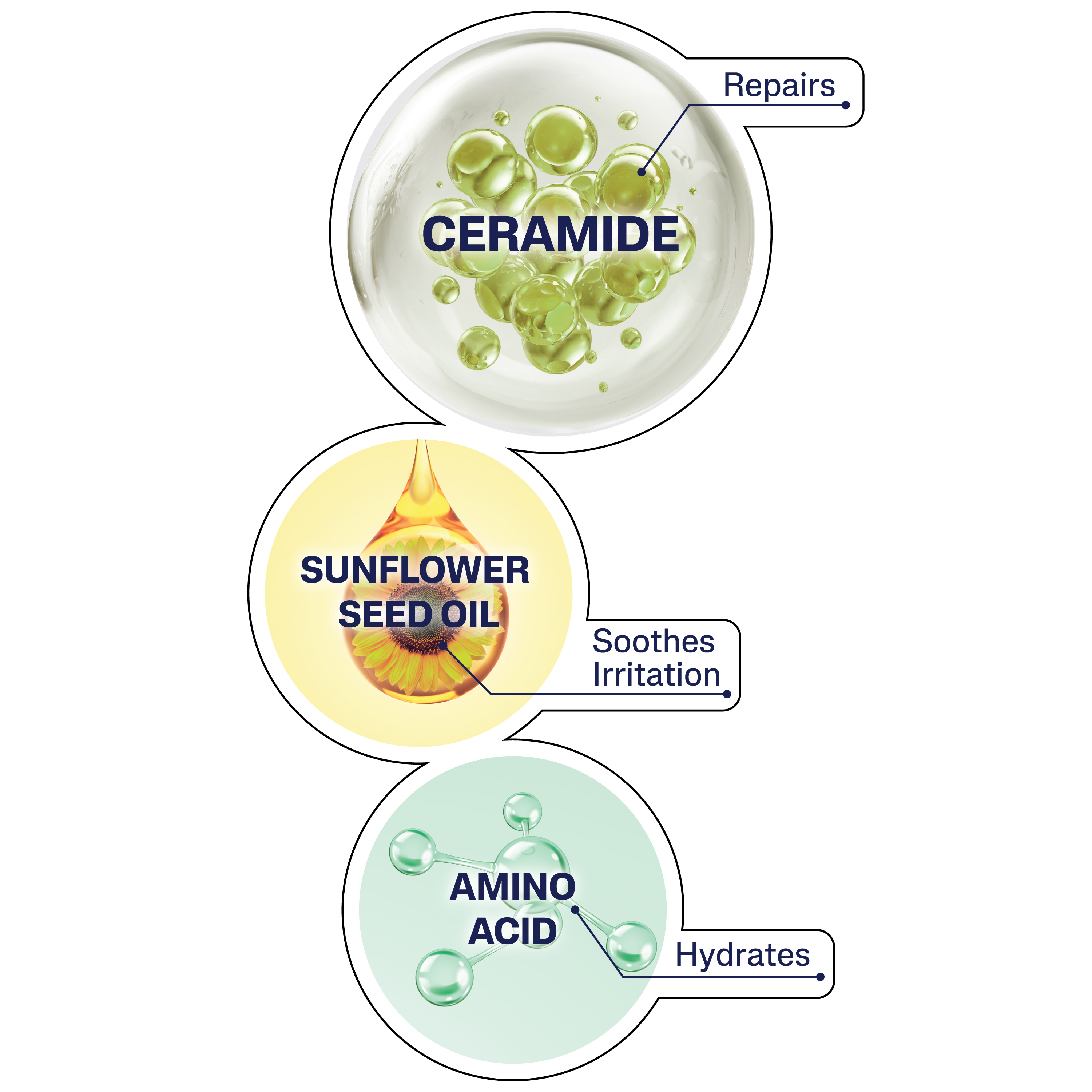 Cetaphil Ceramide Repair Lotion 
                    Ingredients